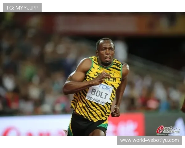 新爱体育平台官网全面介绍与最新功能解析，助你轻松掌握体育赛事资讯